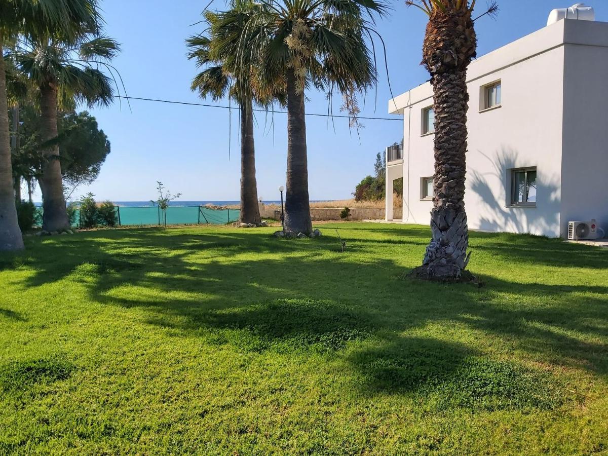 Argaka Palm Tree Apts Luaran gambar