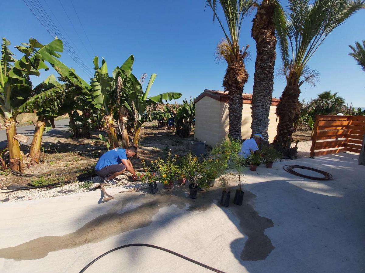 Argaka Palm Tree Apts Luaran gambar