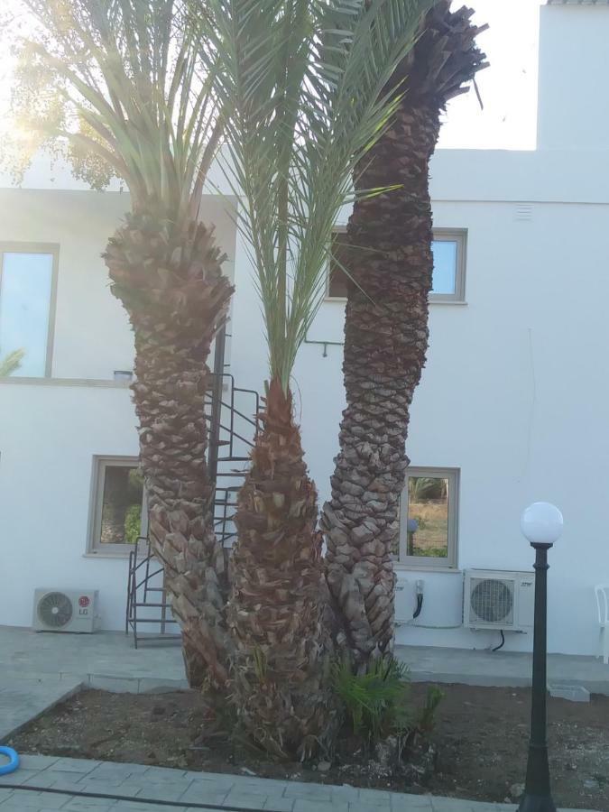 Argaka Palm Tree Apts Luaran gambar